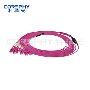 12-core MO4 multi-mode MPO-LC bundle branch jumper ST LC FC MTRJ extension cable
