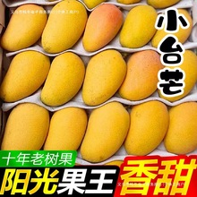 小台芒果非贵妃芒金煌芒大芒果新鲜应季水果批发台农台农芒其他无