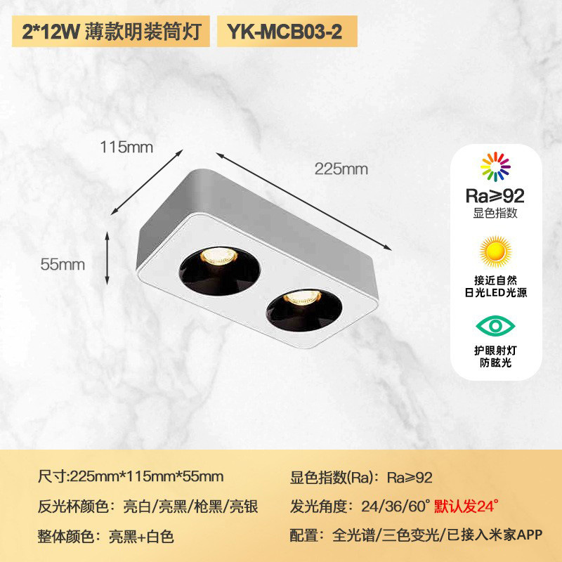 Double head 24w (white shell and black cup)