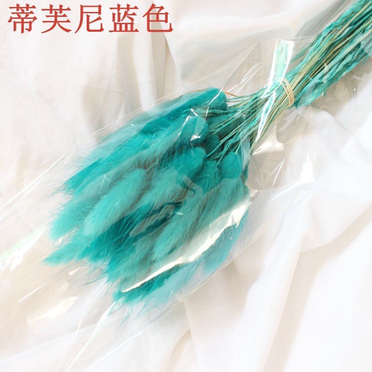 티파니 블루 토끼꼬리풀 120송이 한 다발