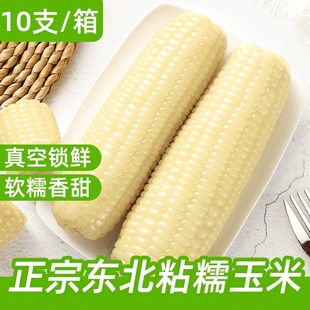 10���|����Ŵ����25���������������s�Z�SŴ������հ��b����