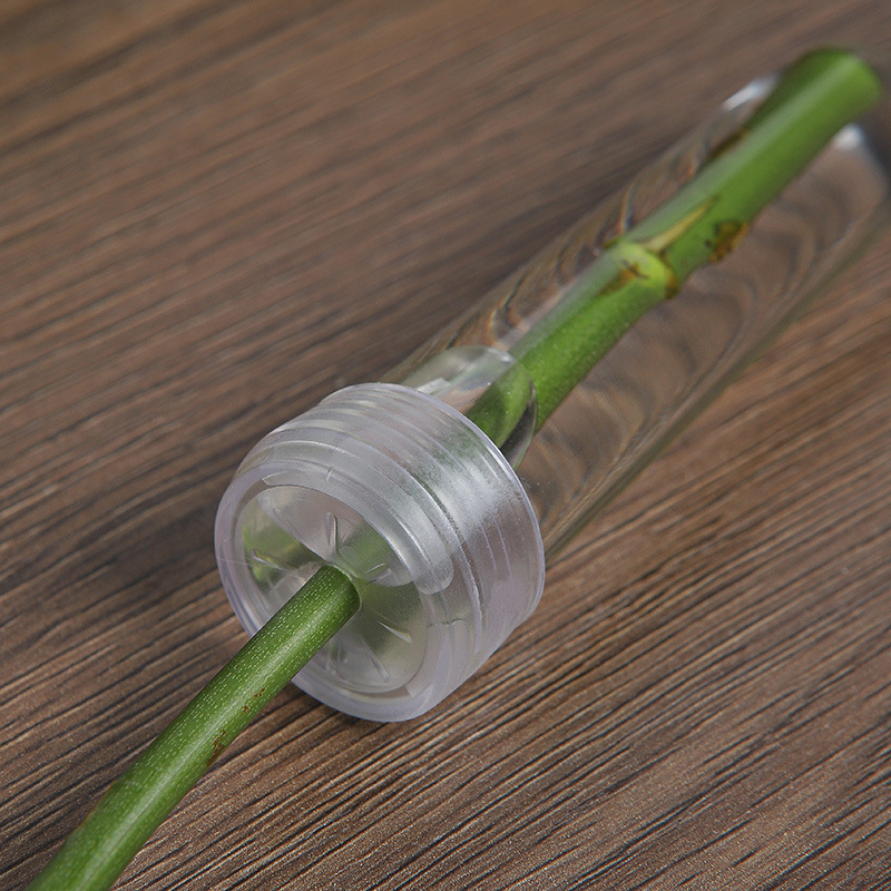 Tubo de nutrición de flores, cultivo de flores, conservación de agua, almacenamiento de agua, almacenamiento de agua, tubo transparente, flores, tubo de conservación de plástico, floristería, materiales florales image 5