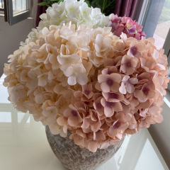 毛布5頭のフランスのアジサイは、ホテルの結婚式の生け花を飾って多色のアジサイの花の花束を卸売りします。