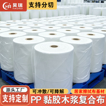源头工厂可降解湿厕纸基材擦拭可拿样 PP 黏胶木浆可冲散无纺布