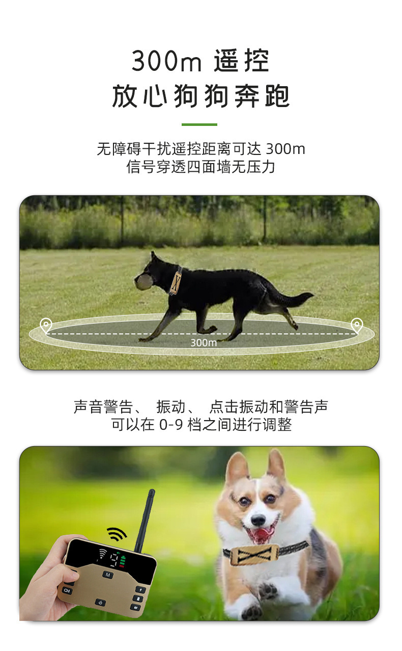 微信图片_20241210140523