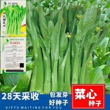 ľķNӷNяV|̨̦͟ﶬļ߲˷N