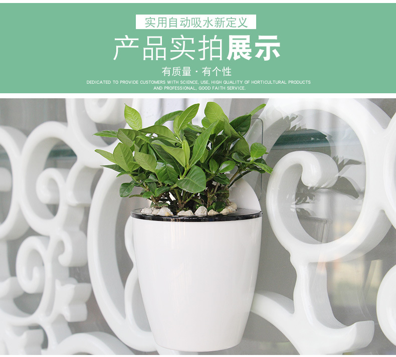 3384760177_886221436