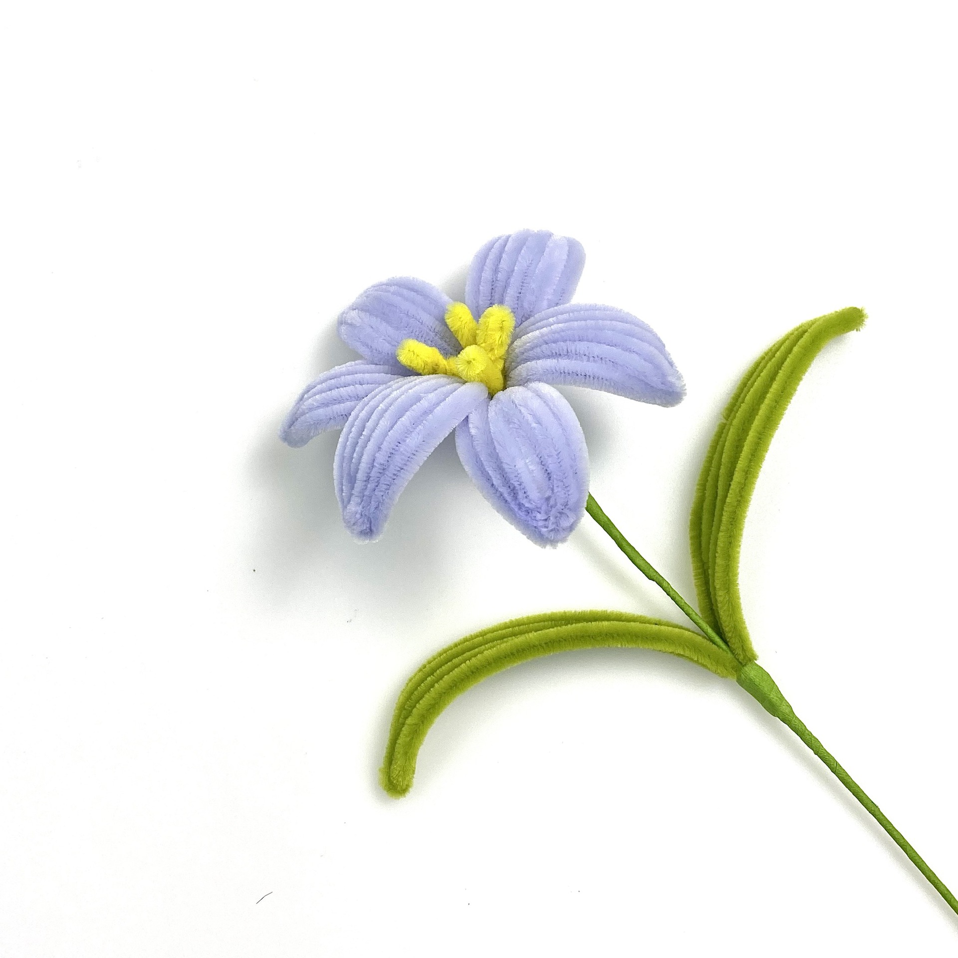 완성된 싱글 릴리 [아이슬란드]