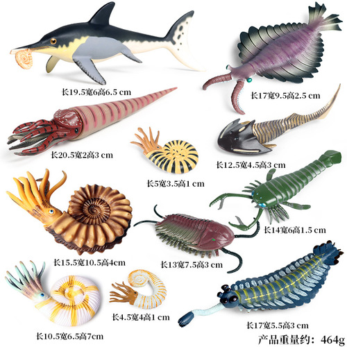 Simulated marine animal model children's toys ancient strange shrimp, nautilus, trilobite, right-angle stone ornament set