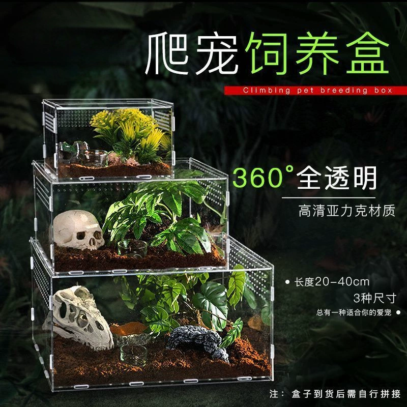 Аквариум для рептилий, увеличенный акриловый, небольшой, для разведения пауков, скорпионов, кур, ландшафтного дизайна, с возможностью наблюдения.