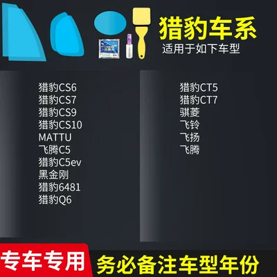 Rearview Mirror Rain-Proof Film for: Rearview mirror rainproof sticker - cheetah-full-seriescomplete-5-piece-set-please-specify-vehicle-model-year
