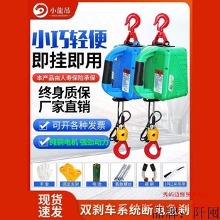 Portable electric hoist micro electric hoist 220v household small crane hoist remote control traction electric hoist