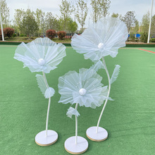 ¿ zW ڻYɌb[OĔz