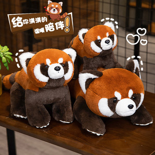 Little Raccoon doll plush toy for Girlfriend Pillow cute bear Doll Doll children birthday gift