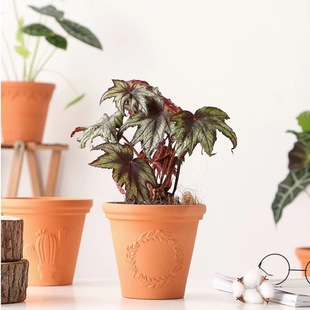 �o�������_�R�t�ջ��踡���������͸����ˮ�؟����s���ܾGֲ����