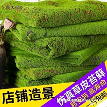 ����̦�\������̦�����b���̨�r�����҃ȼ�Ƥ�Gֲƺ��������̫��