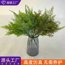 ����Gֲ��ᘲݲ�˹��݈��ز���ֲ���ķ���Gֲ�辰�zӰ�仨