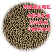 �S����A�w��   ����ˮ�| �������  ���򻯚�   ��������