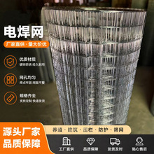 防鸟防鼠圈地养殖鸡鸭兔热镀锌电焊网厂家直供