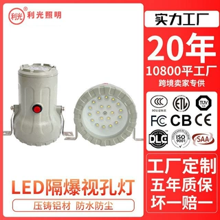 严选LED防爆视孔灯BSD反应釜视镜灯密闭容器探照灯照明内视灯射灯
