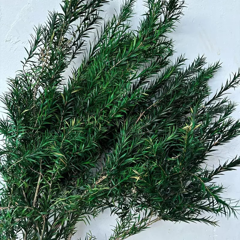 永生花千层金干花批发云南工厂直供花束真花家居装饰永生配材直发|undefined