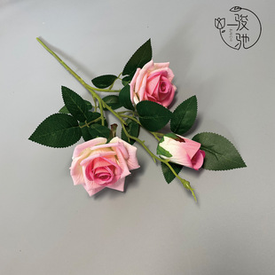 �������^�q����õ��Wʽ��ֻ�Ҿ��bߙn�Ƶ�͏dõ�廨�F؛���l