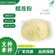 榴莲粉 优质果粉 SC厂家 现货批发 溶解无杂质 现货速发