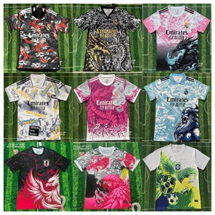 2425���R�؄e������ձ�����͢���������ǰ����؄e�����������