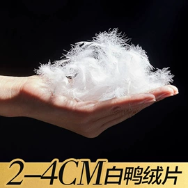 羽毛、羽绒