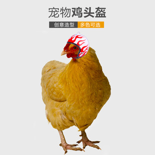 Strict selection of Amazon creative new funny protection chicken helmet hen hat bird hat pet supplies wholesale