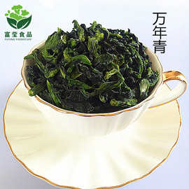 厂家供应万年青干嫩菜心干油菜头火锅泡面凉拌配菜脱水万年青批发