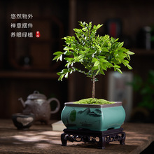 С�~��̴�Ϙ��҃��辰���B�ڹǲ����ԾGֲ�͏d�k���������ļ�����