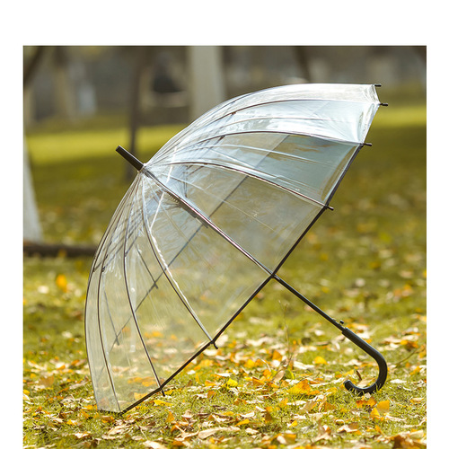 A large wholesale set of 16 transparent automatic umbrellas, Japanese-style fresh and light long-handled umbrellas, sturdy and suitable for both men and women as a couple umbrella.