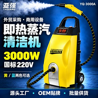 商用高温高压蒸汽清洁机即热3000W国标220V空调家电清洗厂家批发