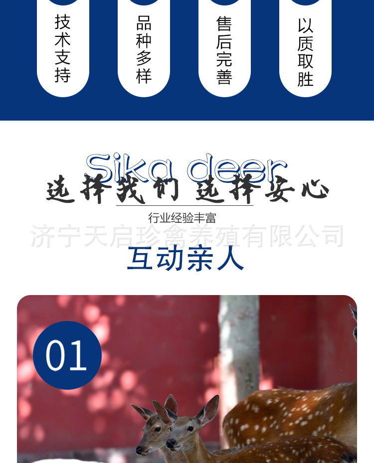 6bc63aaa96021d32a5de22a15ede70