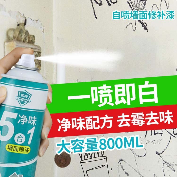 雷牌墙面喷漆墙面修复水性漆涂鸦污渍翻新胶修补墙漆自喷乳胶漆|undefined