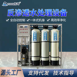 厂家批0.75吨1.5吨2吨反渗透设备纯净水工业水处理双级超纯水EDI