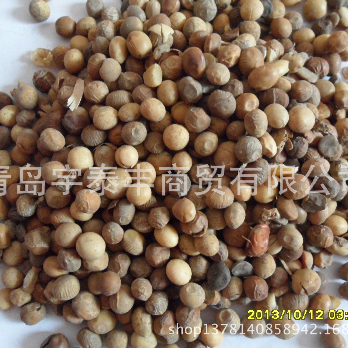 大豆 筛选次黄豆 饲料级黄豆 受损下地黄豆植物饲料原料