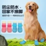 跨境防滑耐磨软底狗鞋