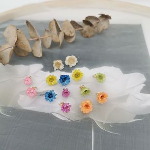 ���h������zС�ǻ��M�ڻ������DIY��֬���Ʒ�����������Ů