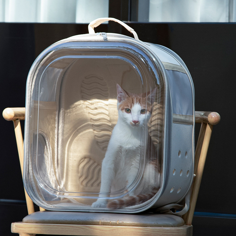 Mochila Transparente para Mascotas de PVC, Transpirable, para Salidas de Mascotas