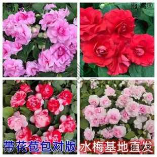 ˮ÷�����ذ�����ذ��P�ɻ������̨���ܶ������ļ��_�������l؛