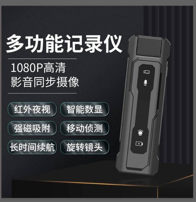 Travel professional videocamera, camera, handheld recorder