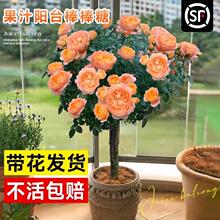 ��֭�̨�¼������ǘ䘶�����¼������ļ��_����ֲ��ͥԺ�Nޱ���l