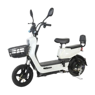 Standard Models, Cross-Border Certification Area — Elektrikli motosikletlər