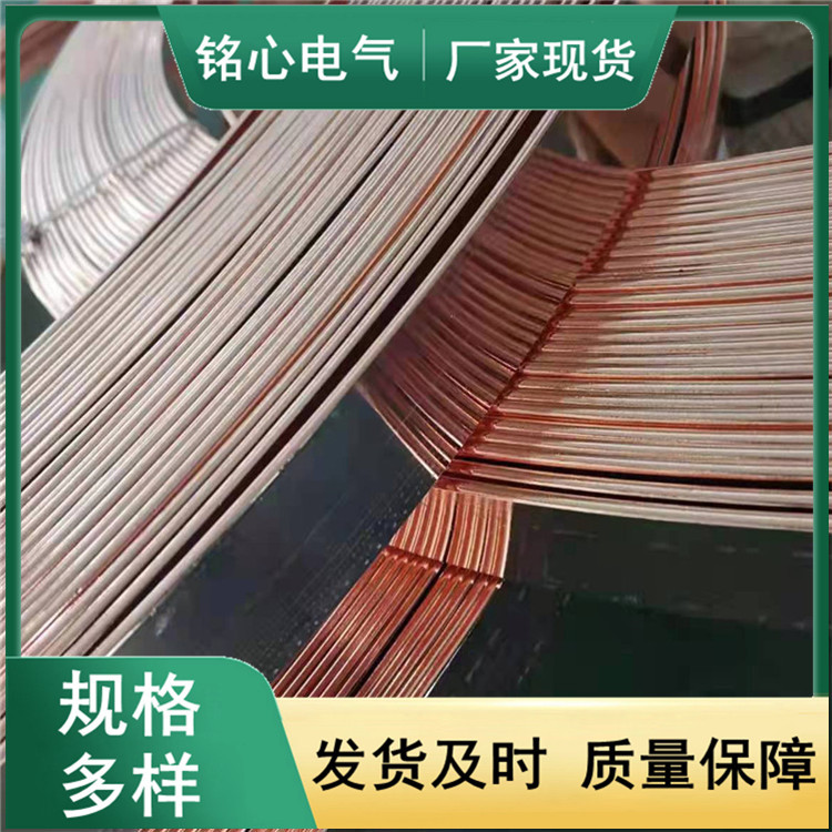 水平接地镀铜扁钢40X4 50X5 60X6铜包钢扁钢 垂直接地镀铜接地棒