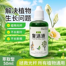 通用植物花卉复活液针对光杆植物发黄掉叶生长素快速活性生根液壮