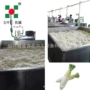 不粘连人工干燥控温烘干机