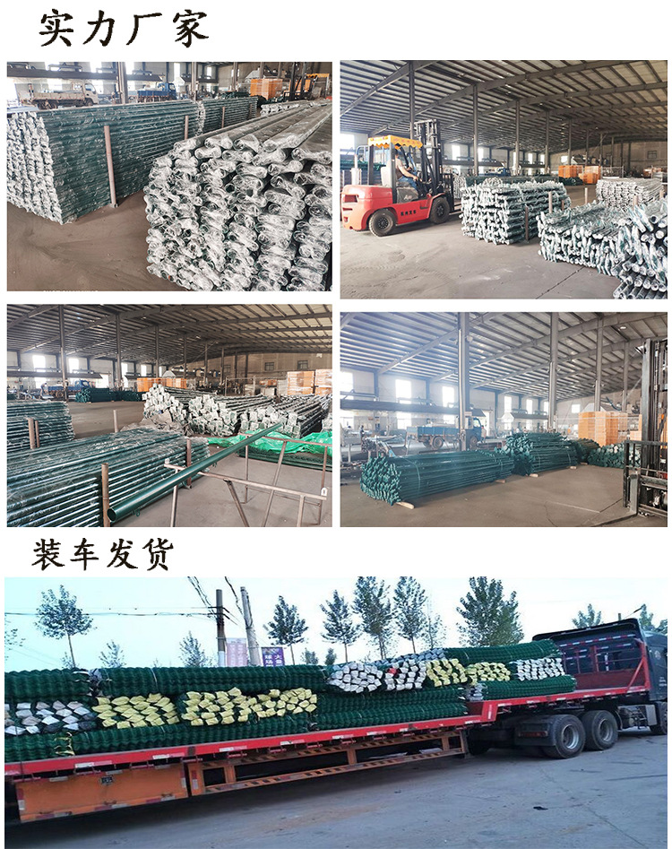 O1CN01pqfBUR1T3M4A4PppB_!!2924