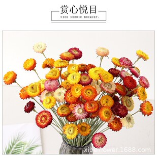 ����������ֹ�ճ�ӻ���С�r����Ȼ�ɻ��߲ʾ�����U�Ҿ��b����l